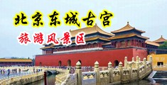 精品女人高潮毛片肛交中国北京-东城古宫旅游风景区